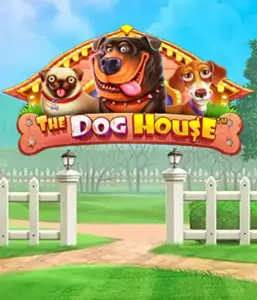 Experience Pragmatic Play's The Dog House, offering a delightful experience into the world of lovable dogs. Enjoy features including sticky wilds, designed for delivering joyful moments. Ideal for animal enthusiasts an amusing atmosphere with a chance for big wins.